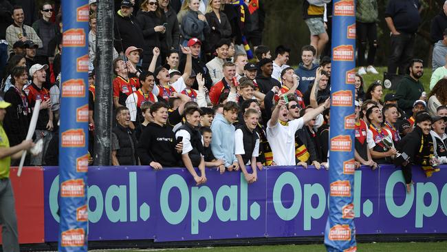 Dingley’s reserves were in full voice after their win. Picture: Andrew Batsch