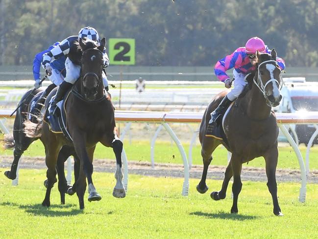 Hazey Hill ridden by Brian Higgins wins the Jenharwill Cossar Farms Handicap at Bendigo Racecourse on June 15, 2024 in Bendigo, Australia. (Photo by Brett Holburt/Racing Photos via Getty Images)