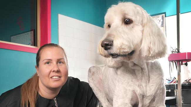 DogFX in Prospect has been named SA’s best dog groomer. Owner Meagan Rachwal with Bruce. Picture: Dean Martin