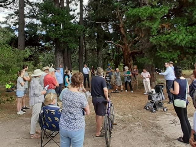 Ferntree Gully residents are devastated after healthy pine trees were axed in Koolunga Native Reserve. Picture: Supplied.