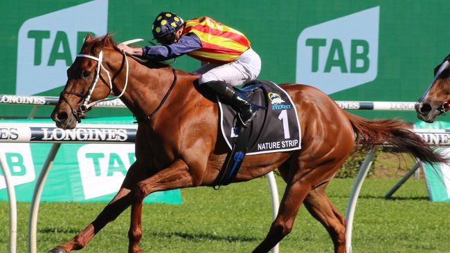 Nature Strip was outstanding in winning The Everest on Saturday. Picture: Grant Guy