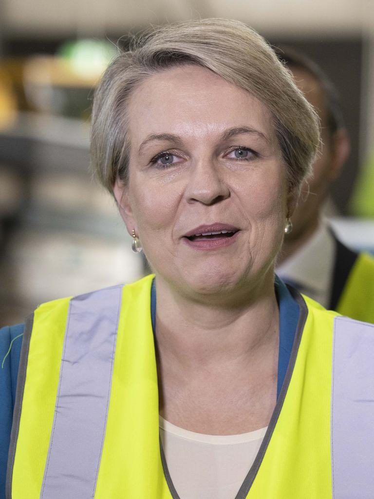 Minister for the Environment and Water, Tanya Plibersek. Picture: NCA NewsWire / Gary Ramage