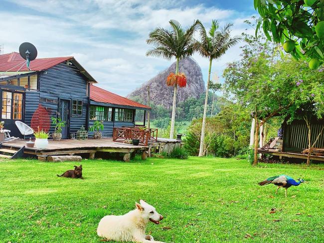 The original loggers' cabin at Nightcap Exchange Photo Airbnb