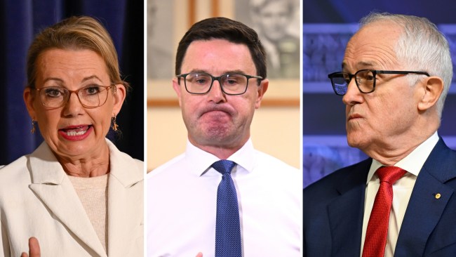 Ley calls second partyroom meeting as Turnbull says Nats ‘holding gun to Liberal Party’s head’