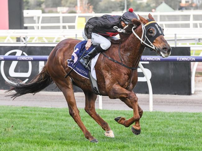 Mnementh ridden by Blake Shinn wins the Santa Ana Lane Sprint Series Final at Flemington Racecourse on July 01, 2023 in Flemington, Australia. (Photo by Brett Holburt/Racing Photos via Getty Images)