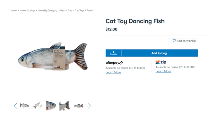 Kmart store fish toy