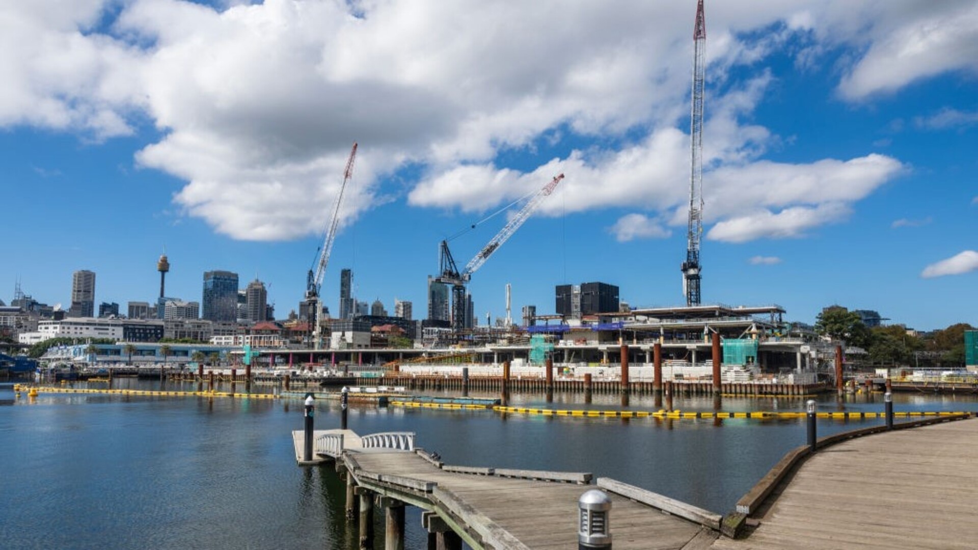 Sydney Fish Market on the brink of financial collapse