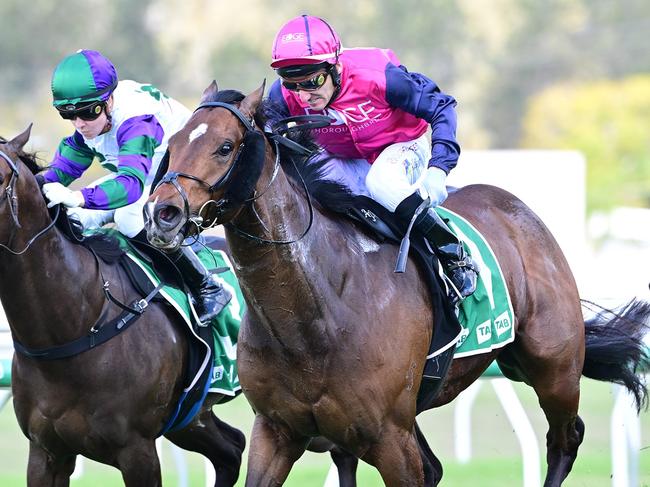 One-time $1.1m colt Godfather returns gelded and wins at Ipswich for a new trainer and ownership group. Picture: Grant Peters, Trackside Photography.