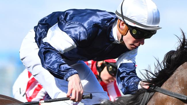 Ben Melham says it will be a ‘privilege’ to ride Almandin on Saturday.