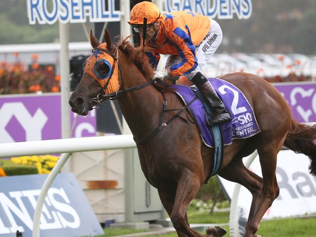 Kiwi star Gingernuts charges to victory in the Rosehill Guineas. Picture: AAP