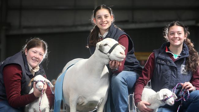 Hay War Memorial High School’s Molly Edmonds, Chrissy Murray and Issy Murray. Picture: Yuri Kouzmin