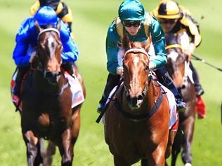 RACES (ROYAL RANDWICK)