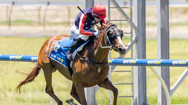 Gotta Go Guru, ridden by Jason Holder, wins a Benchmark 76 on Saturday at Morphettville. Picture: Makoto Kaneko