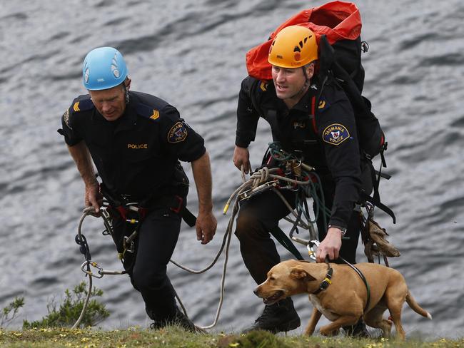 Authorities can probably train their own staff to handle police dogs. Picture: Kim Eiszele