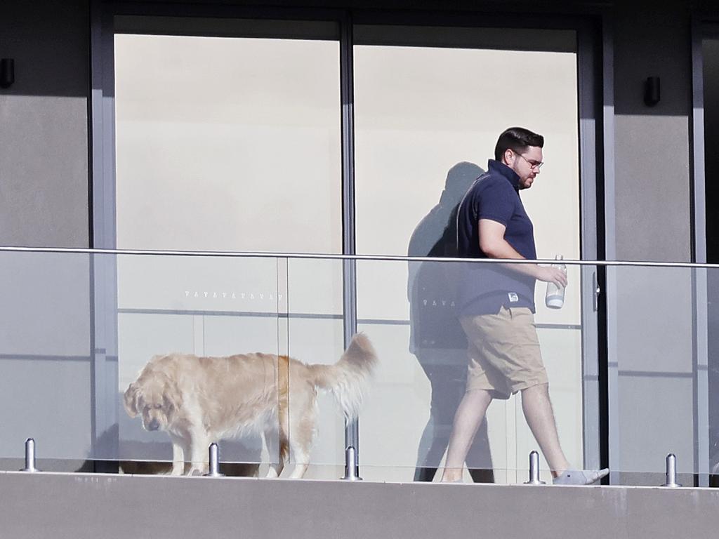 Images of Bruce Lehrmann and his dog at the Sydney residence paid for by Network Seven. Picture: Sam Ruttyn