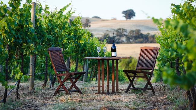 Indigo Vineyard, Beechworth. Picture: Supplied