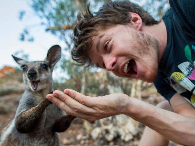 Allan Dixon’s animal selfies - wallaby. Pic: @Daxon/Caters News