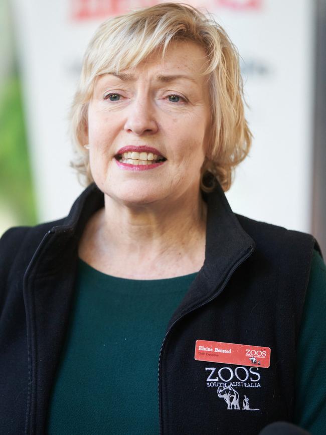 Zoos SA Chief Executive Elaine Bensted. Picture: Matt Loxton