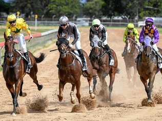 STATUS QUO: The field cross the line  in the third race on Saturday at the Bundaberg Race Club meeting. The club has no plans to follow the greyhounds to TAB. Picture: Brian Cassidy