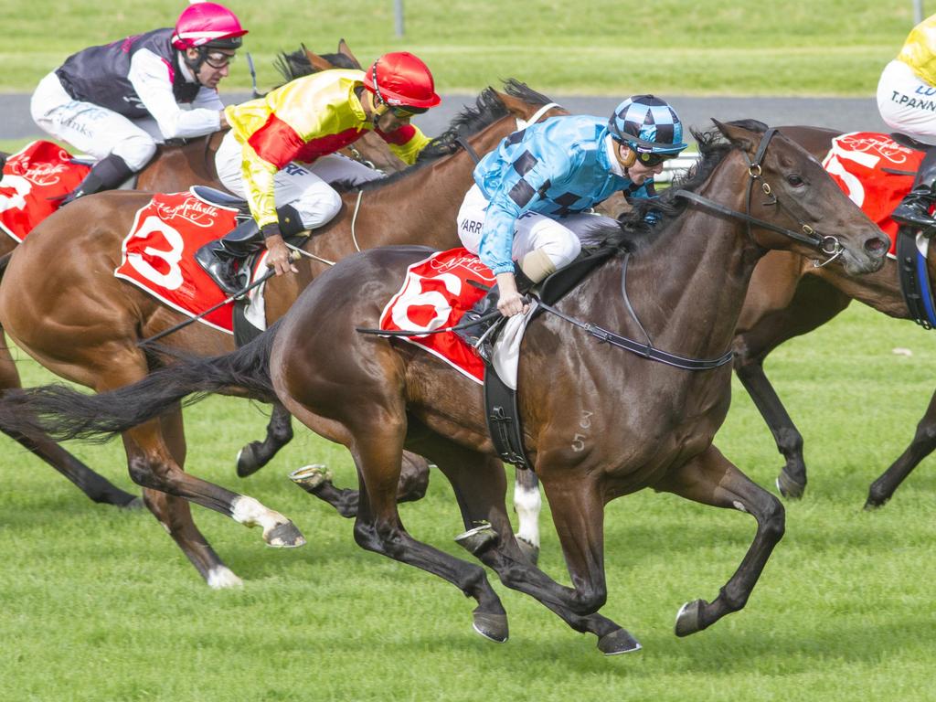 Fundamentalist (Harry Coffey) wins at Morphettville in Adelaide during her two-year-old season. Picture: Atkins Photography