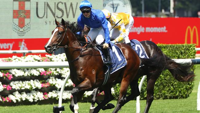 Cylinder won the Group 2 Todman Stakes in Sydney last March. Picture: Jeremy Ng–Getty Images