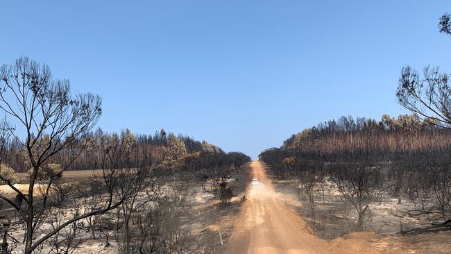 Kangaroo Island after bushfires devastated the area. Picture: Garnett Hall