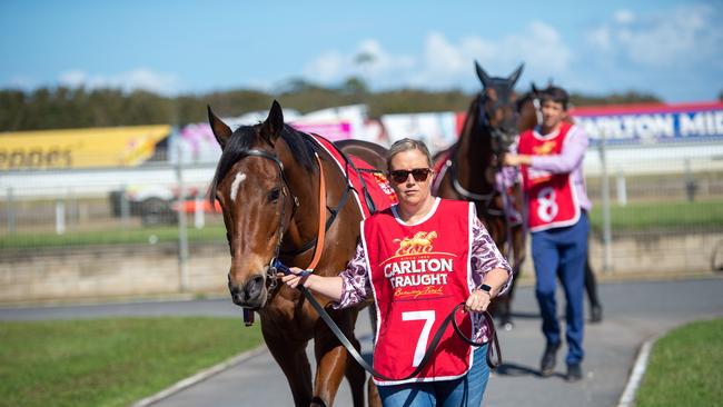 The Coffs Cup will look a little different this year with Covid restrictions forcing event organisers to halve its size.