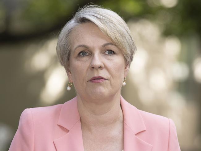 Minister for the Environment and Water, Tanya Plibersek. Picture: Gary Ramage