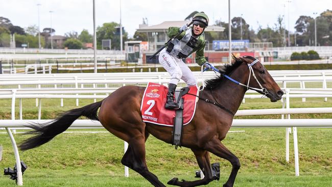 Incentivise ridden by Brett Prebble wins the Caulfield Cup. Picutre Getty Images)