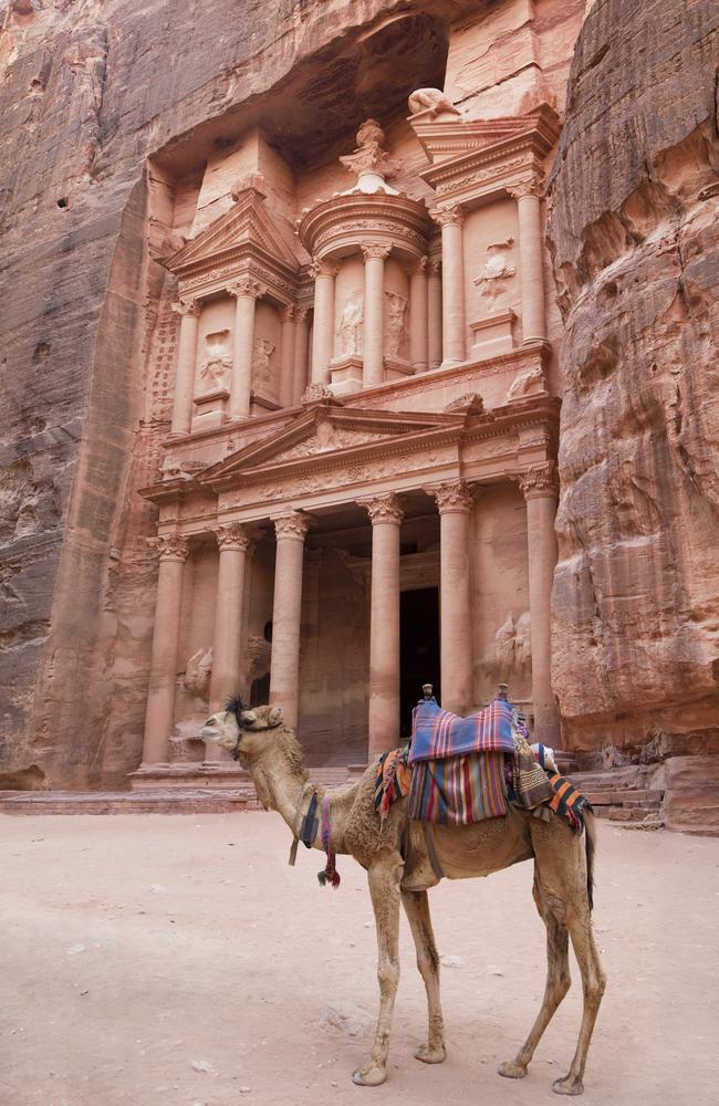 Camel in front of the treasure in Petra, Jordan.