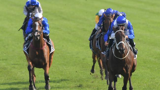 And that’s 33 in a row for the mighty mare. Picture: AAP Image/Simon Bullard