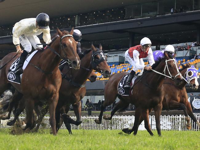 Jason Collett and Noble Boy combine to take out the Winter Stakes at Rosehill Gardens.