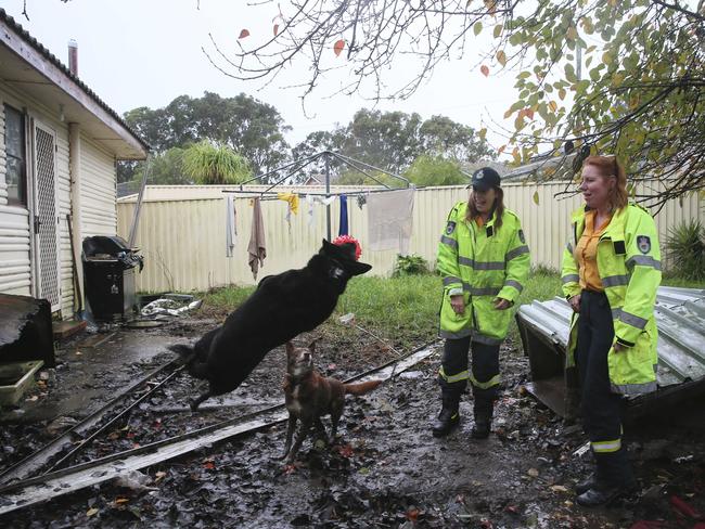 Empire Bay RFS volunteer Sue Dengate and Charmhaven RFS volunteer Kate Williams-Dawes welfare checking on dogs Max and Bailey as owner was evacuated. Picture: Sue Graham