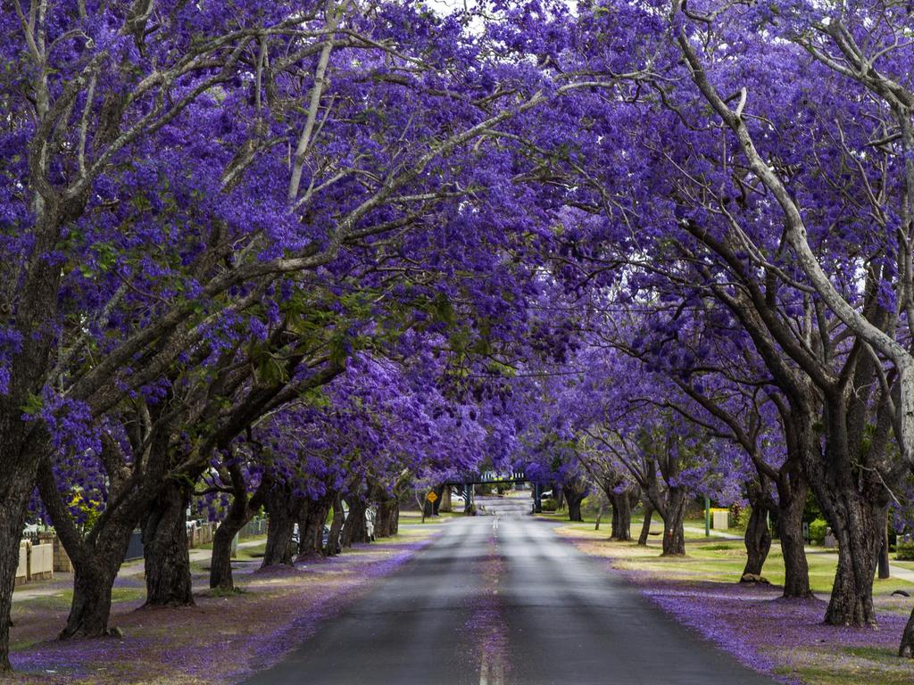 Australia’s No.1 beach just got beaten | escape.com.au