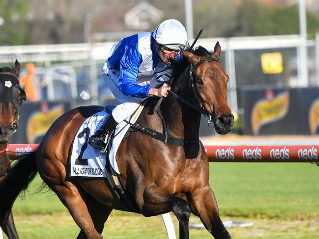 Alligator Blood ridden by Damien Oliver wins the Live Life Foundation Underwood Stakes at Caulfield Racecourse on September 23, 2023 in Caulfield, Australia. (Photo by Pat Scala/Racing Photos via Getty Images)