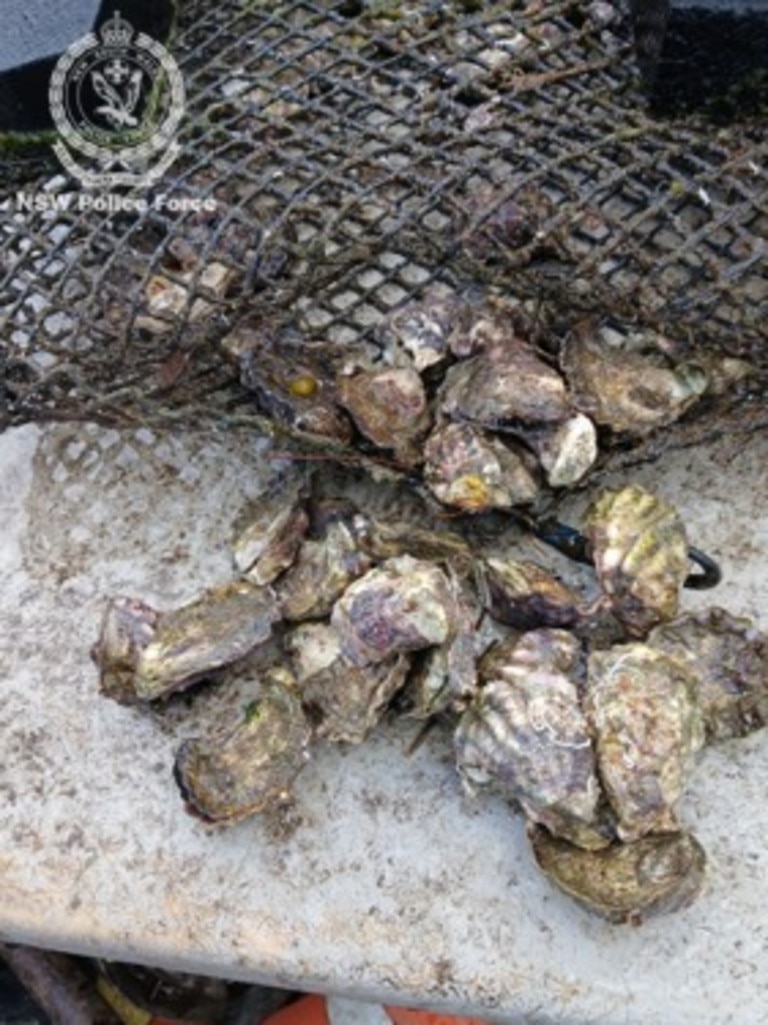 Thieves are believed to have used a boat to steal nearly 200 dozen oysters from a marine farm on the NSW south coast in the days before Christmas. Picture: Supplied