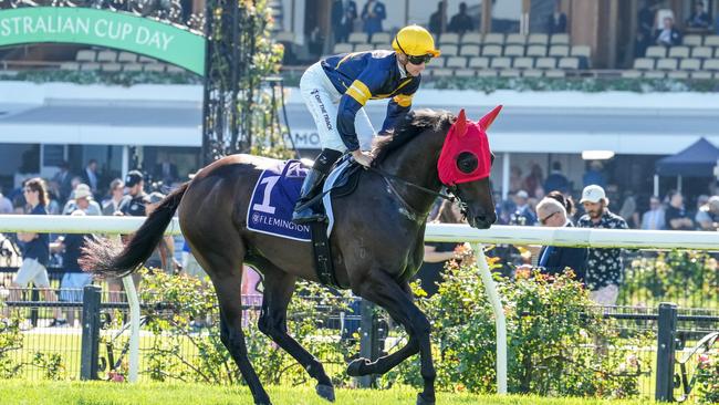 Arkansaw Kid will have his first outing as a gelding in the Listed Regal Roller Stakes at Caulfield. Picture: /Racing Photos via Getty Images