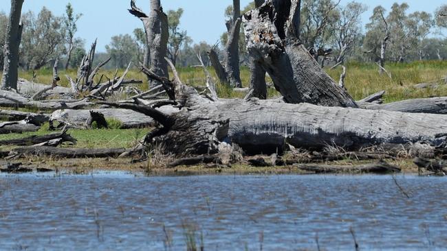 The alert was issued by WaterNSW on December 22.