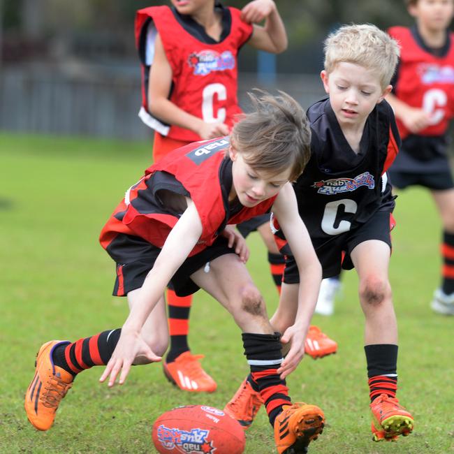 Auskick AFL players from the Manly Bombers and Forest Lions. AFL clubs are hoping to squeeze in a few more games in the junior ranks. Picture: Manly Daily