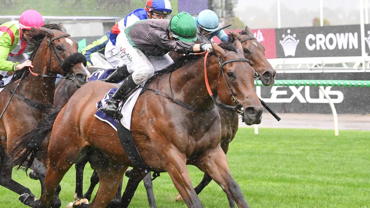 Tom Prebble drives Title Fighter to the line in the Straight Six at Flemington. Picture: Brett Holburt/Racing Photos via Getty Images