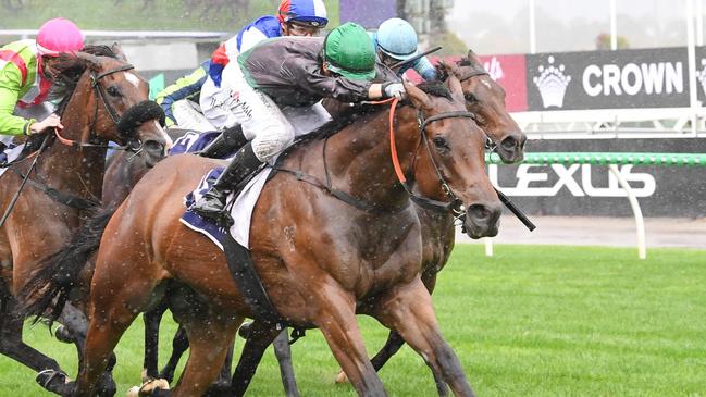 Tom Prebble drives Title Fighter to the line in the Straight Six at Flemington. Picture: Brett Holburt/Racing Photos via Getty Images