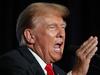 Trump considers pardoning Assange