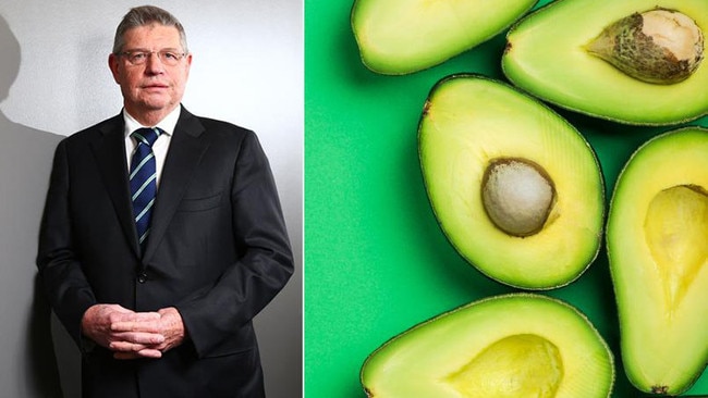 The avacado industry is planning a revolution in how they are farmed.