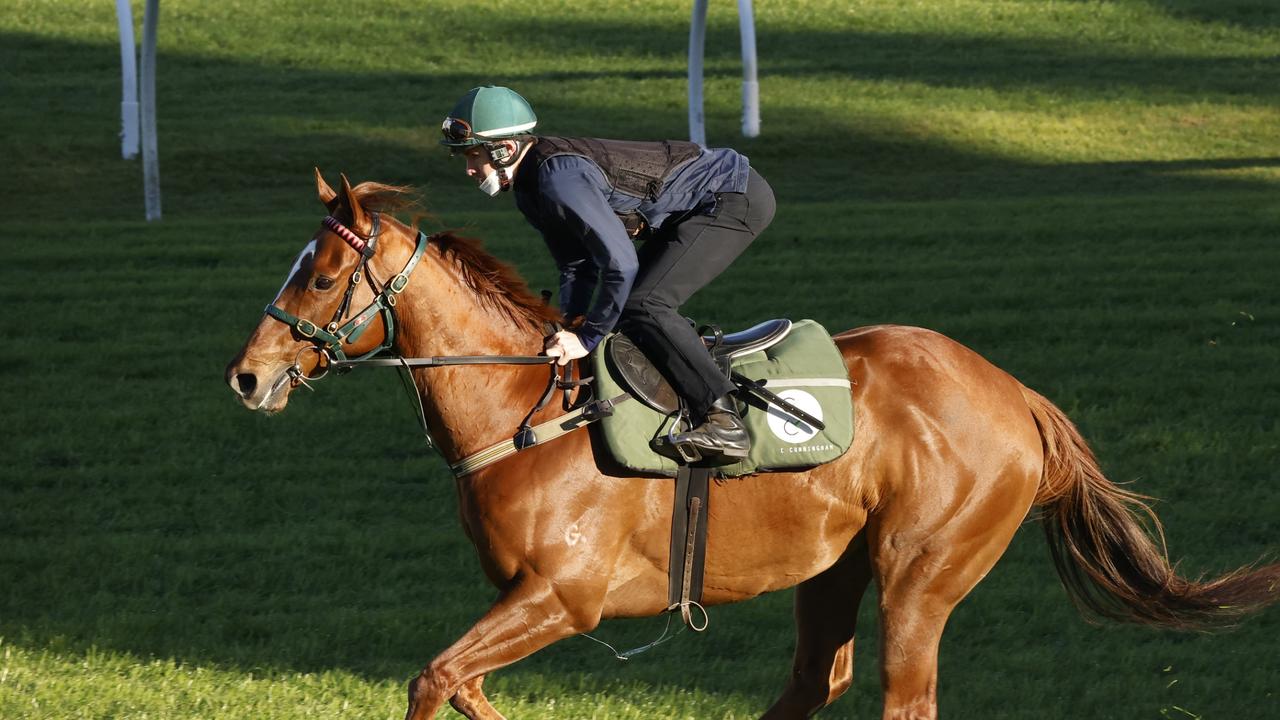 Randwick Trackwork Session