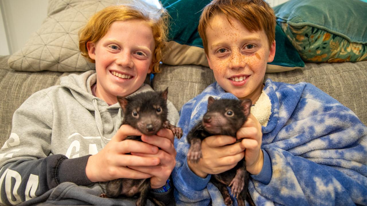 Australian Reptile Park &amp; Aussie Ark Director, Tim Faulkner and how he’s hand-raising two Tasmanian devils with the help of his sons Billy and Matty. The boys have named the devils ‘Sam’ and ‘Messi’ after their favourite soccer stars.