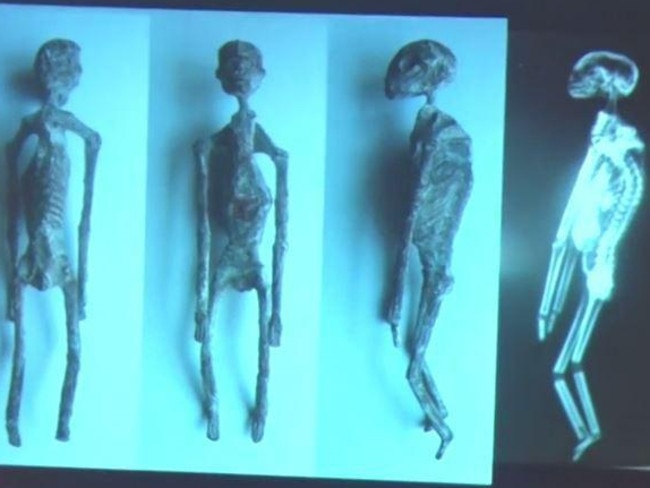 Three Fingered Mummies Found In Peru Are Not Human Says Scientist And May Be Aliens News Com