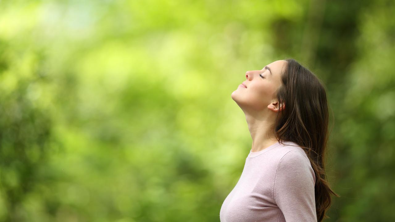 Profile of a relaxed woman breathing fresh air in a green forest