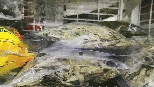 Whitebait fish with mould at the Star Supermarket in Kilburn. Picture: SA Courts.