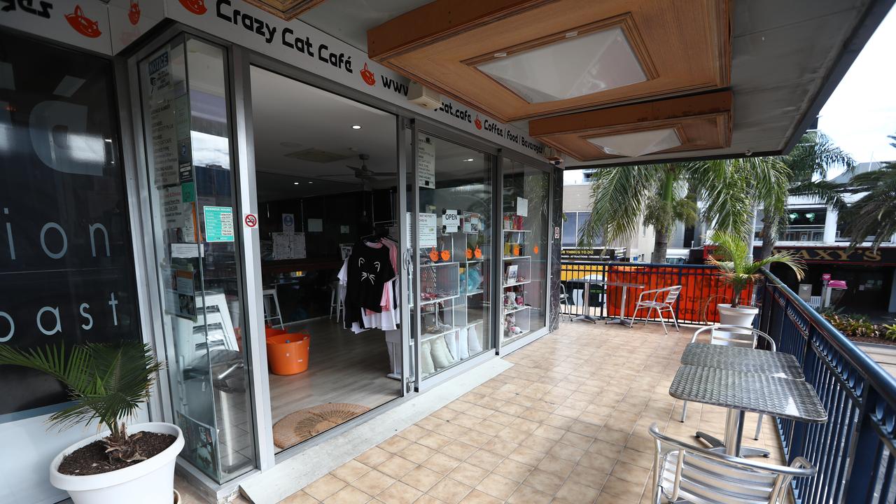 Crazy Cat Cafe Surfers Paradise Gold Coast institution on brink Gold Coast Bulletin