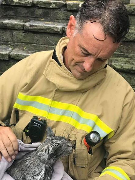 Manly firefighter Christian Fehily looks after Phish just moments after the 14-year-old cat was rescued from a unit in Fairlight St, Fairlight, which was badly damaged by a fire caused by an electrical problem during a lightning storm. Picture: NSW Fire and Rescue